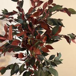 Artificial Ficus Tree 