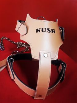 Custom dogs harness