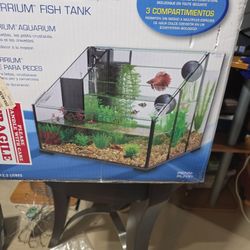 Fish Tank