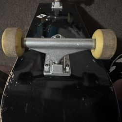 Complete Skateboard 