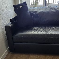 Crate and Barrel Sleeper Sofa