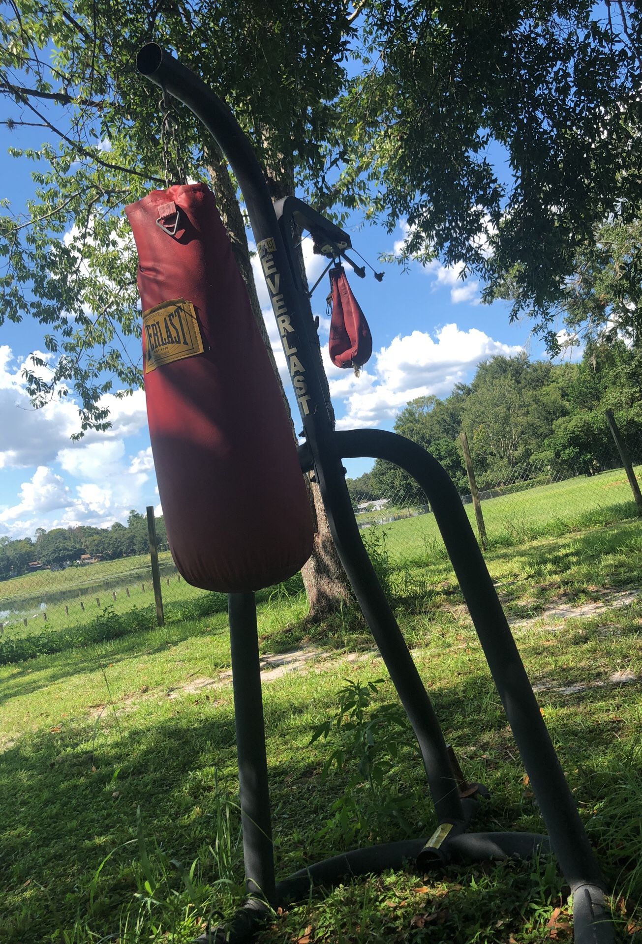 Punching bag need gone today ❗️❗️❗️