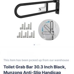 Toilet Grab Bar With Paper Holder 