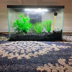 Perfect Condition Fish Tank 