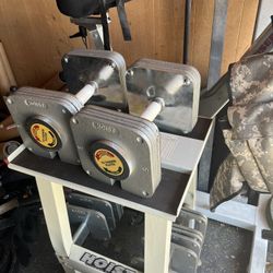 Hoist Adjustable Dumbbell Weights With Stand 
