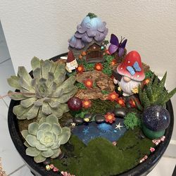 Cecilia’s garden