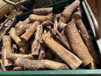 Seasoned Oak Firewood