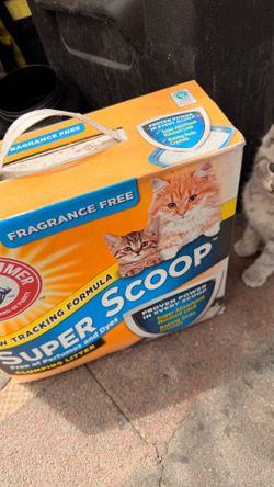 Cat litter