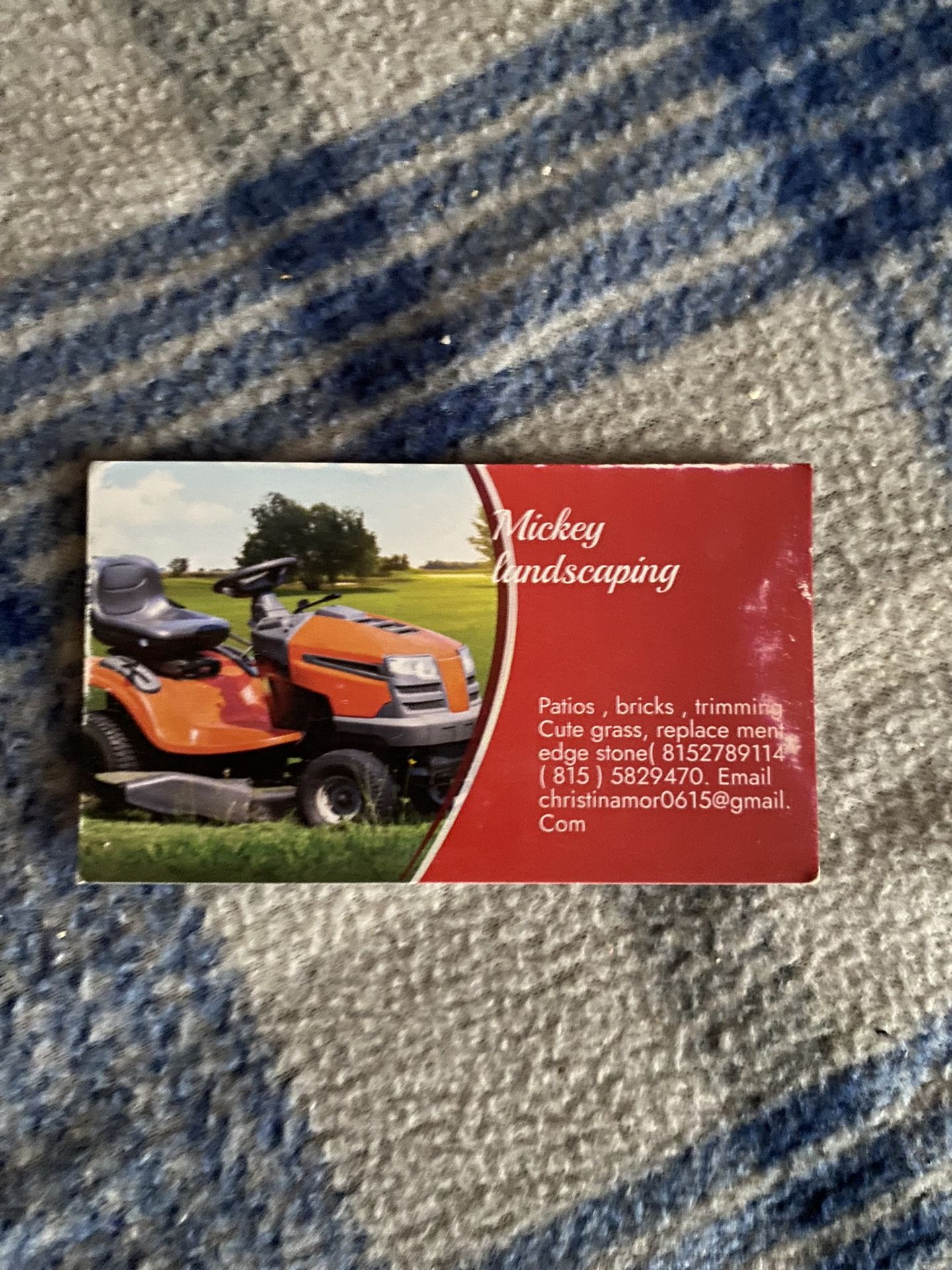 Mickey landscape ing