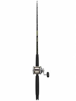 Daiwa 50h w/ Shakespeare Trolling Rod