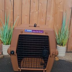 Petsafe Dogs And Cats 