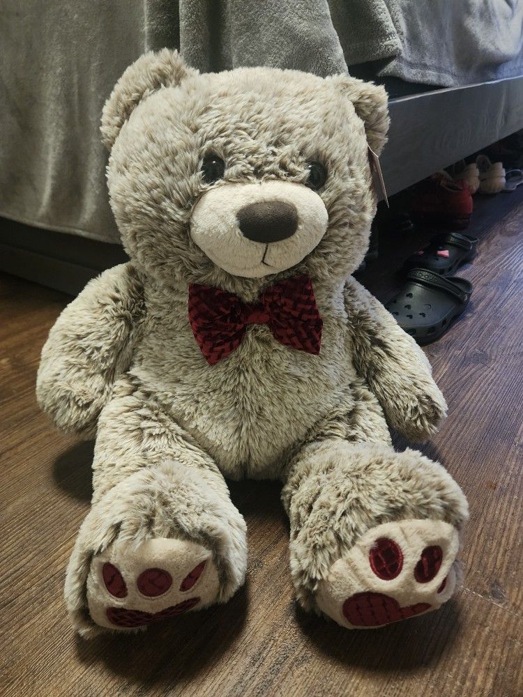Teddy Bear 