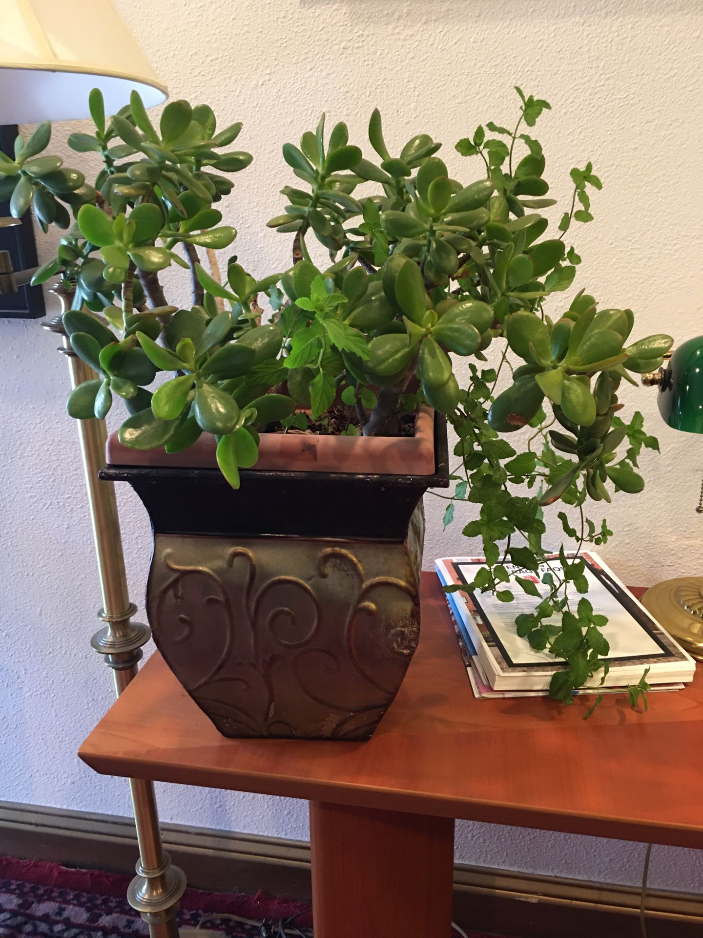 Jade plant metal pots decorative. 11 inch square x 24 tall all.
