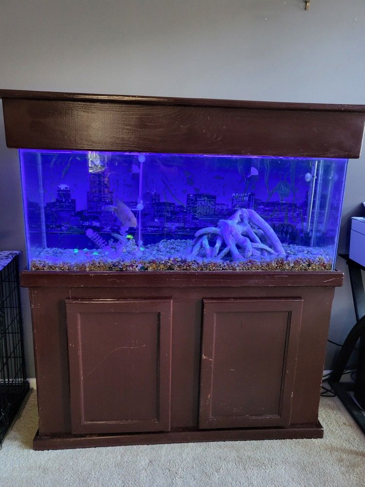 Fish Tank