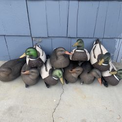 Higdon Battleship Magnum Mallard Duck Decoys