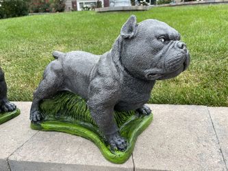 Beautiful solid concrete  Bully Dog