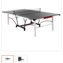 Ping Pong Table