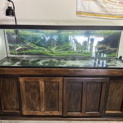 125 Gallon Fish Tank With Stand
