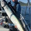 Robs Rods N Reels  (Murrieta) 