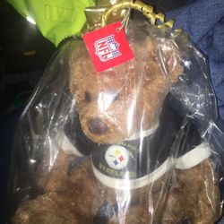 New pics bird Steelers Baer only $15