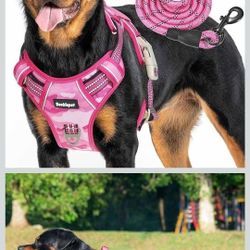 Pink Camel Heavy Duty Harness With Leash  Size Large 