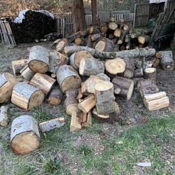 Firewood Rounds/logs