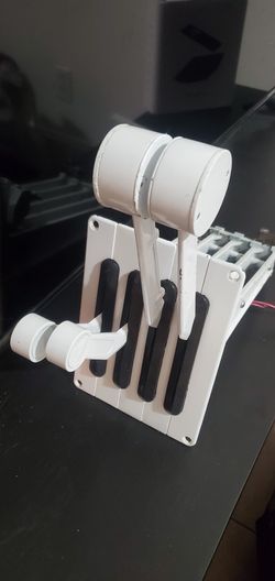 Gaffrig Dual Controls
