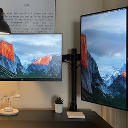 Two 24” HP Monitors with Monitor Arm