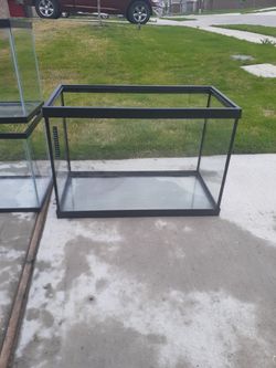 Fish tank