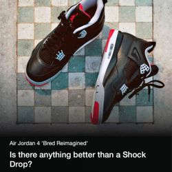 Nike Air Jordan 4 Retro Bred Reimagined 