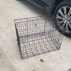 Medium Size Dog Kettle