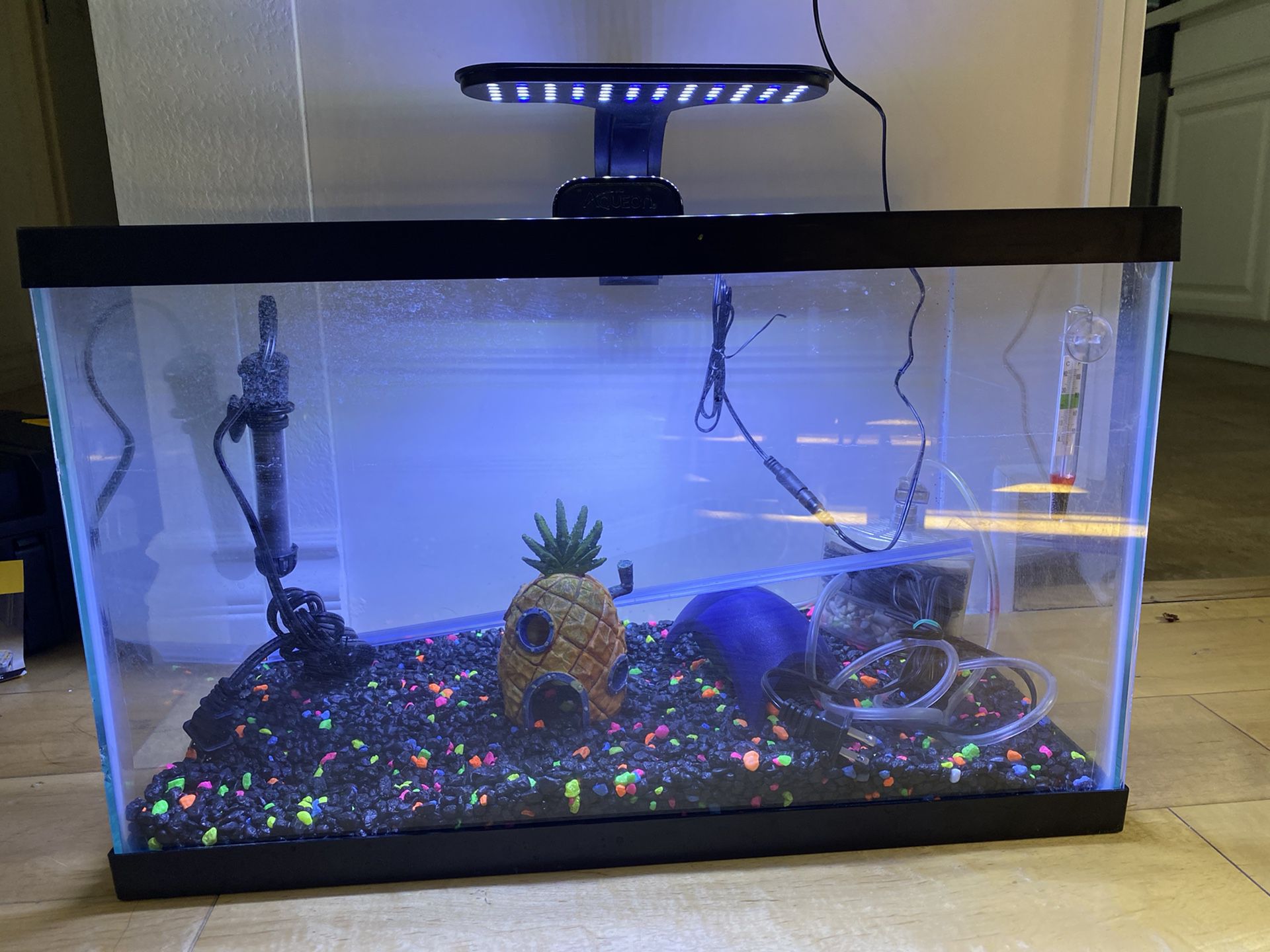 10 Gallon Glow In The Dark Fish Tank
