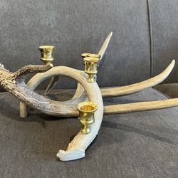 Antler And Brass Candle Holder