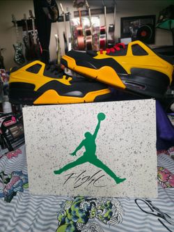 Jordan 4 RM Bruce Lee with Original Box
