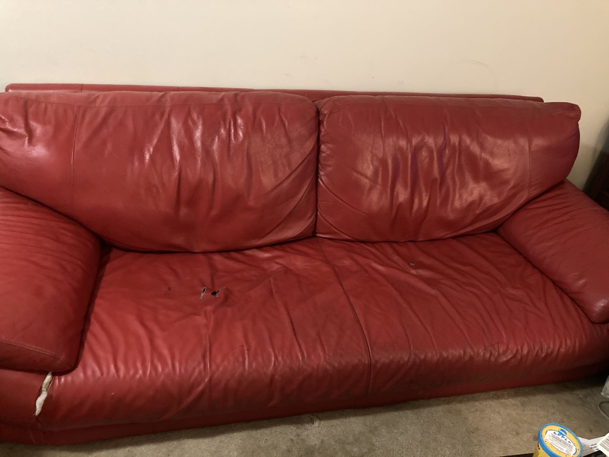 Free Leather Couch