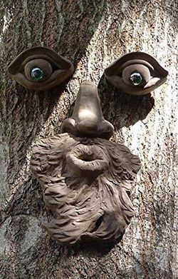 Tree Face