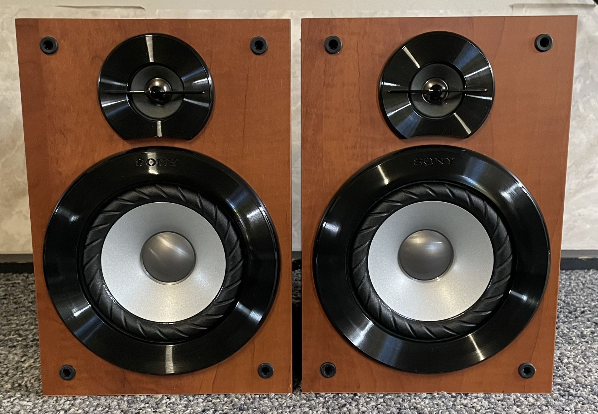Nice Sony SS-DV2D Speakers