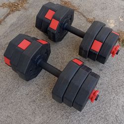 2  Dumbbell Weights 20 Lb Weights And