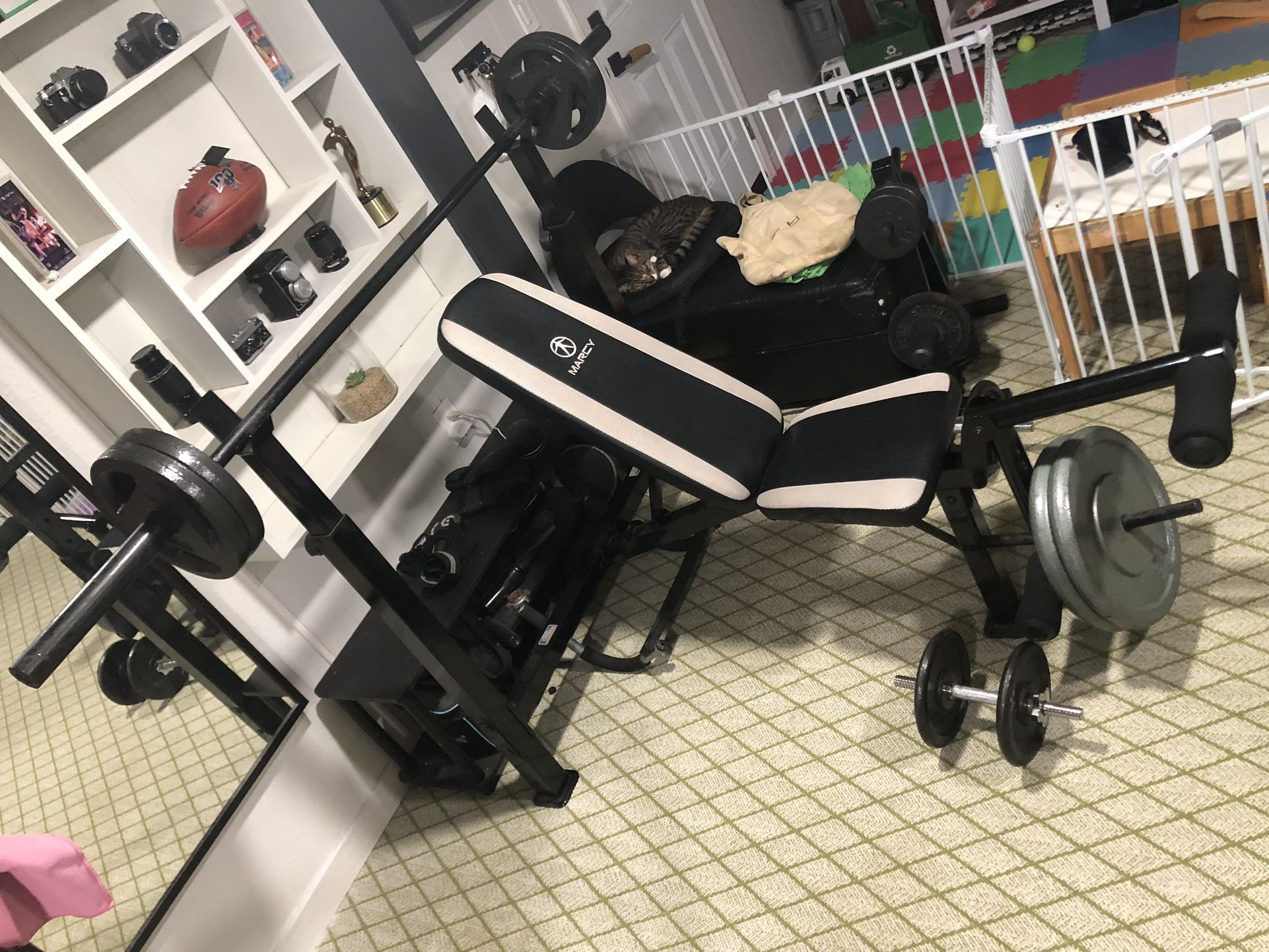 Bench Press, Squat Rack, Barbell And Assorted Weights