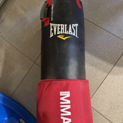 Everlast MMA Punching Bag