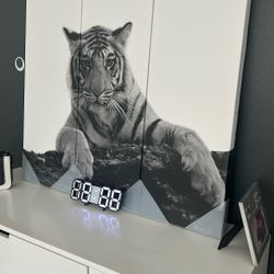 Tigger  Picture 
