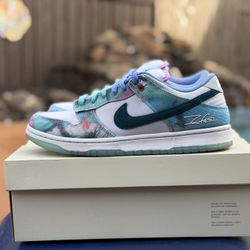 Nike Sb Futura Size 10