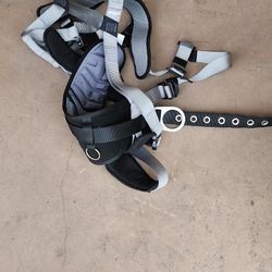Safety Harness