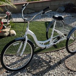 26” Schwinn Adult Tricycle 
