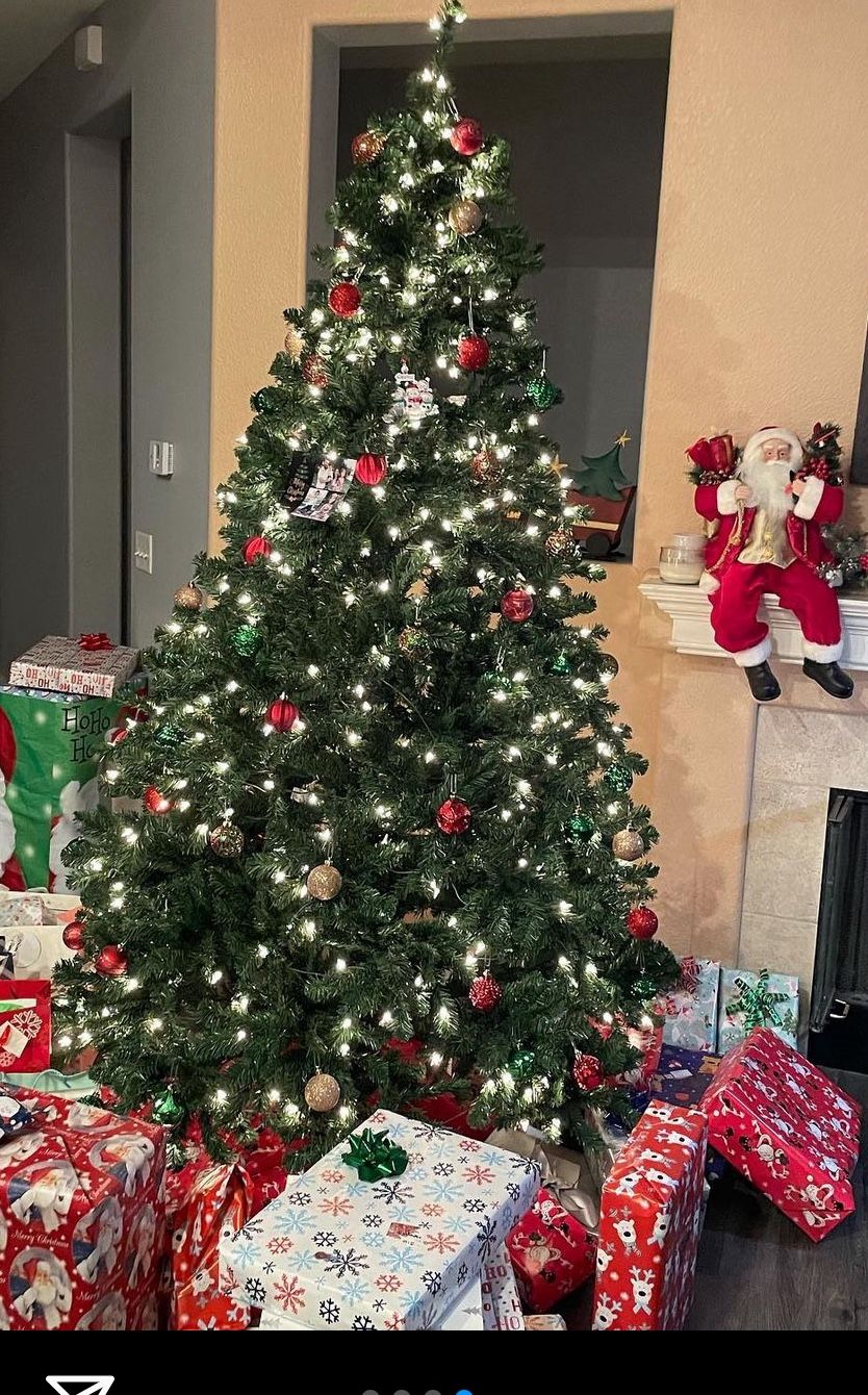 High Fiber Christmas Tree 🎄