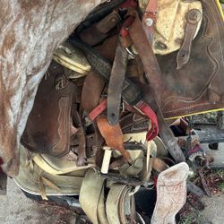 Mexican Horse Saddles 