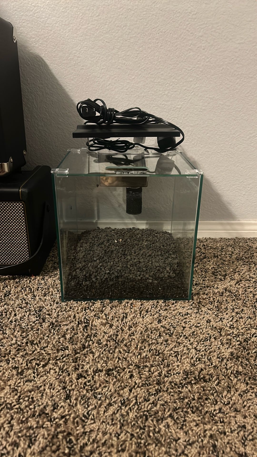 Shrimp/ Betta 3 Gallon Tank