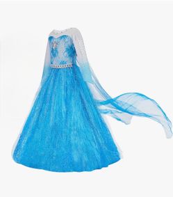 Frozen 2 Elsa Costume