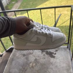 Ghost Grey Dunks 