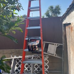 8’ Louisville Ladder 
